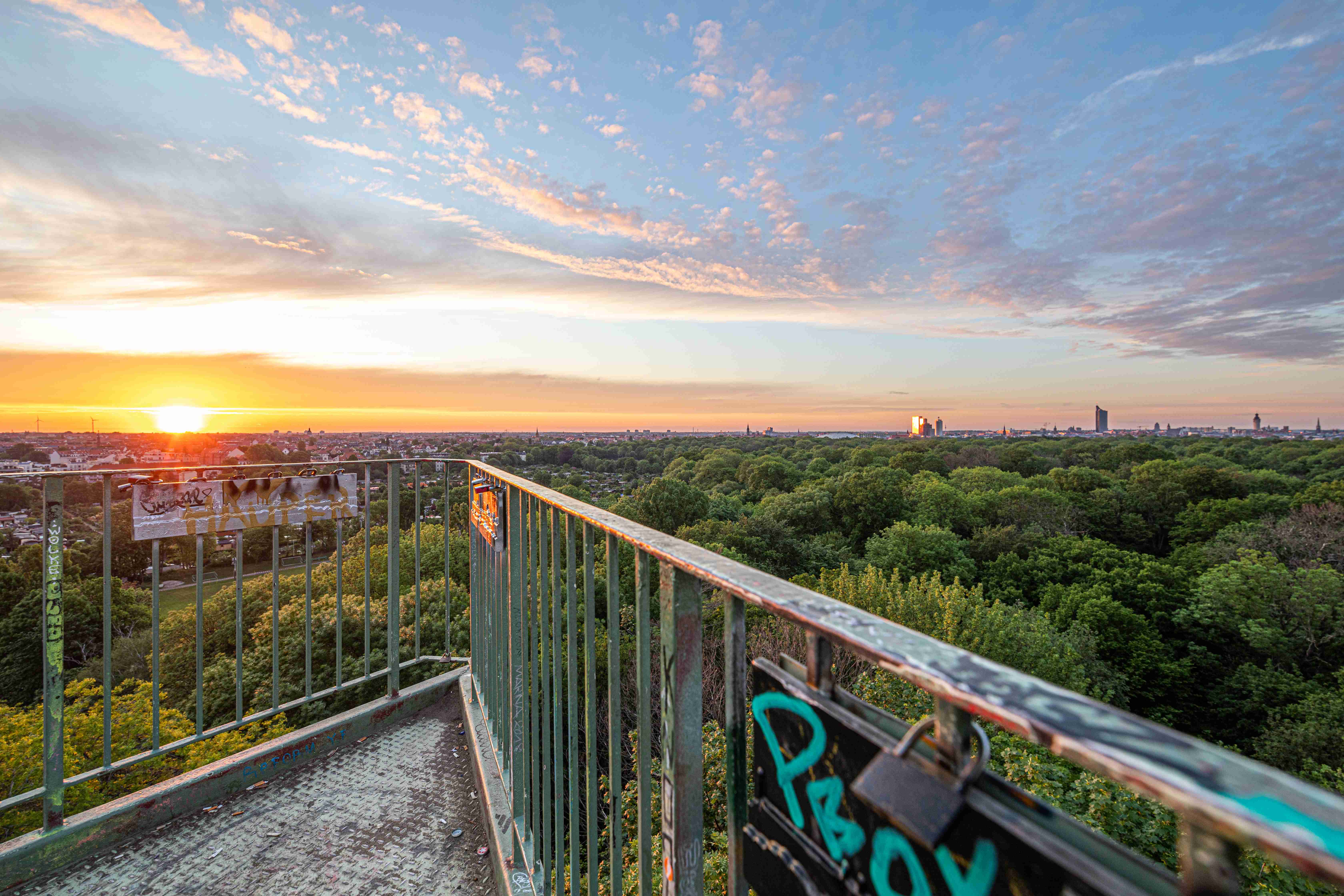 🌳 라이프치히 강변숲(라이프치거 아우발트)